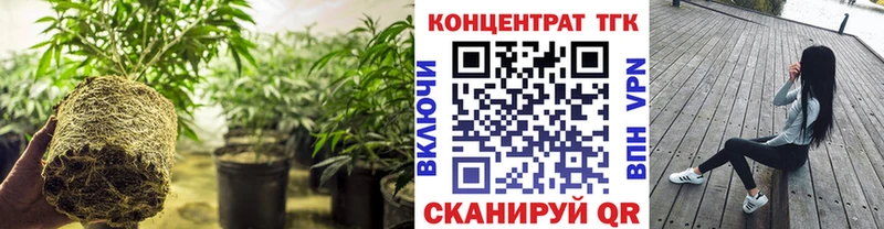 ТГК THC oil  где можно купить наркотик  Нижние Серги 